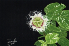 パッションフルーツ