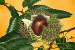 栗
