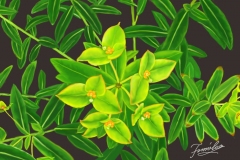 緑色の花