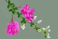 萩　