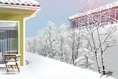 雪の日（裏庭）2011年2月14日