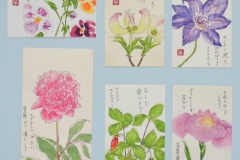 小さいのに　ワイルド　ストロベリー　デリケートな花菖蒲等