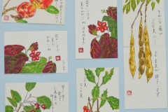 ザクロの実　藤の実　小鳥が喜ぶ花の実　等