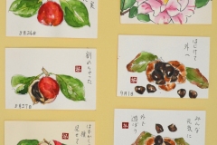 椿の実　58日間の観察日記